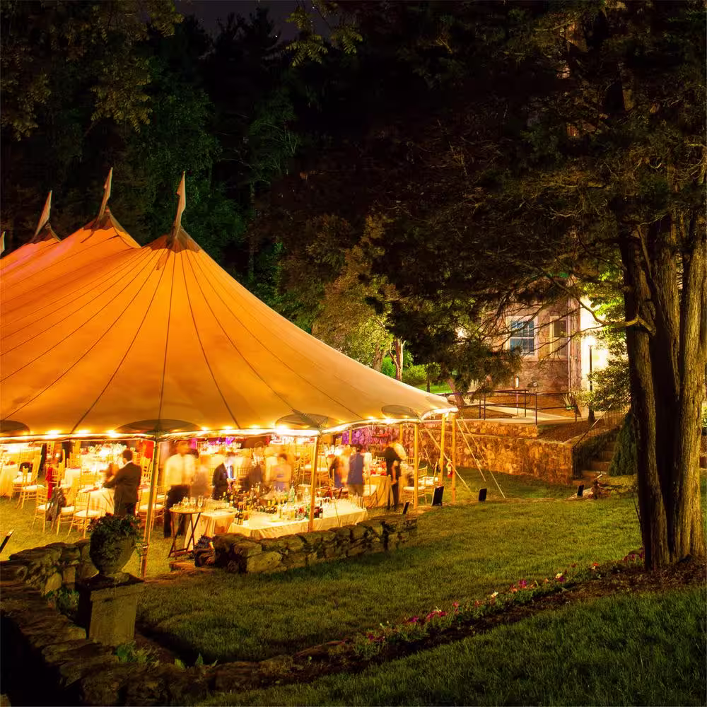 Newhouse Lighting Outdoor 48 ft. Plug-In Edison Bulb LED Smart App-Enabled String Light, Dimmable, E26,2700K, 16-Light Bulbs Included