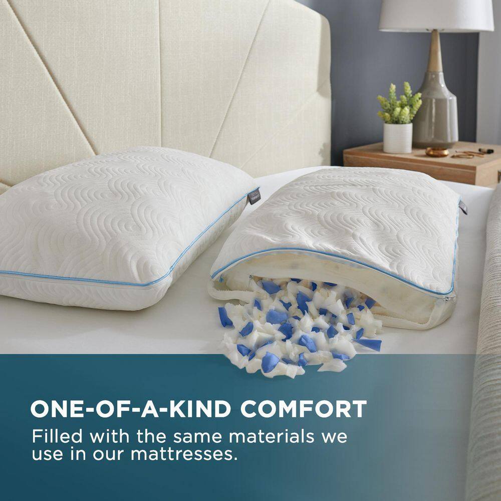 TEMPUR-PEDIC TEMPUR-Cloud Adjustable Queen Pillow plus Fill