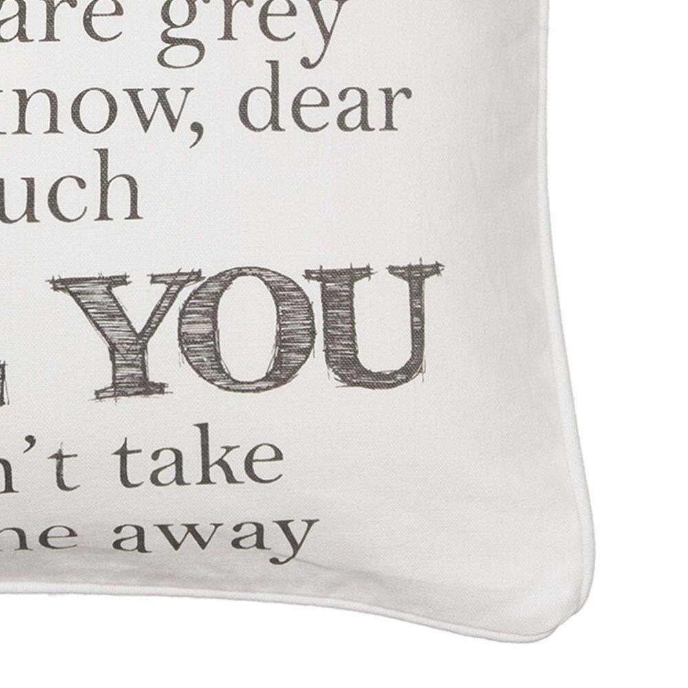 None Cream, Grey You Are My Sunshine Sentiment Print 20 in. x 20 in. Throw Pillow