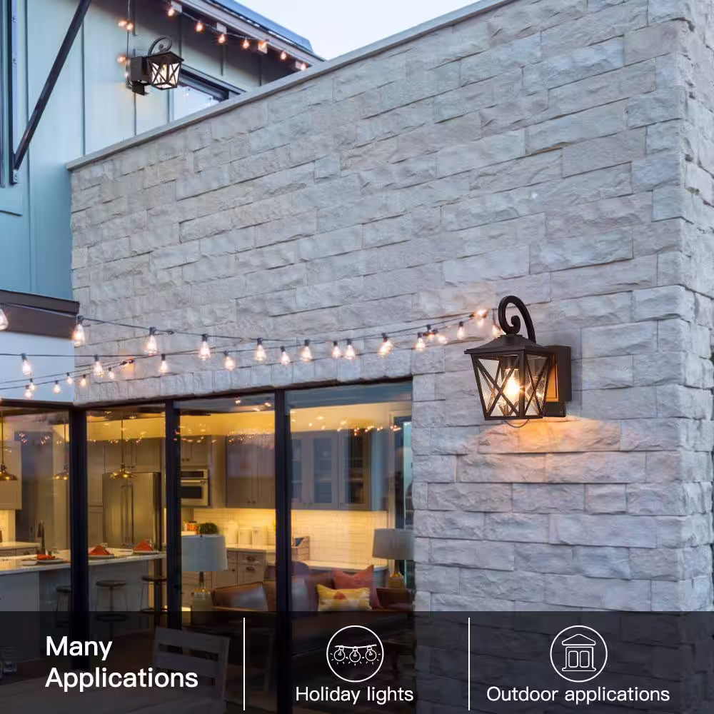 TRUE FINE Glendale 1-Light Black Hardwired Outdoor Wall Lantern Sconce with Built-In GFCI Outlets