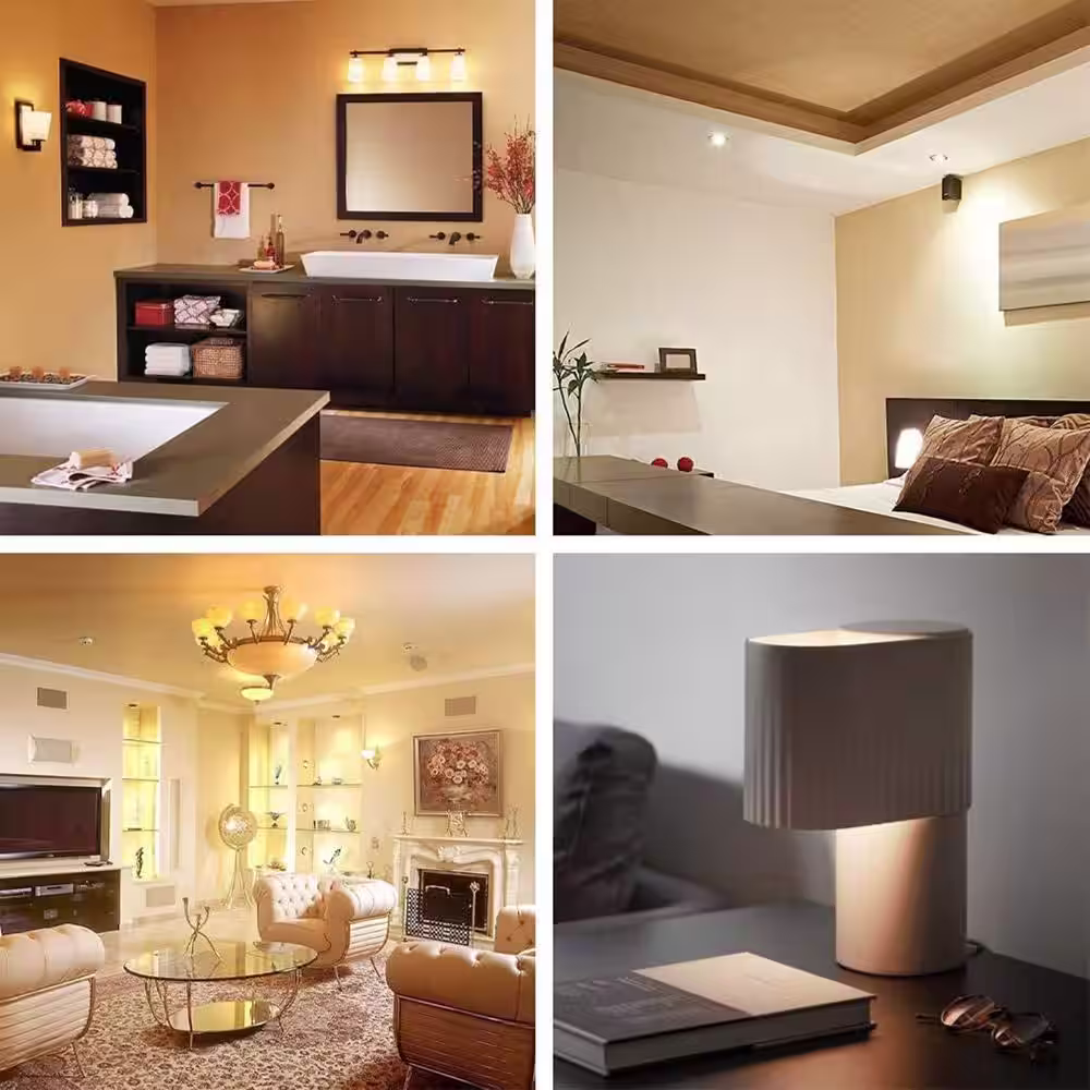 BLUEX BULBS 60-Watt Equivalent G16.5 Household Indoor LED Light Bulb in Warm White (6-Pack)