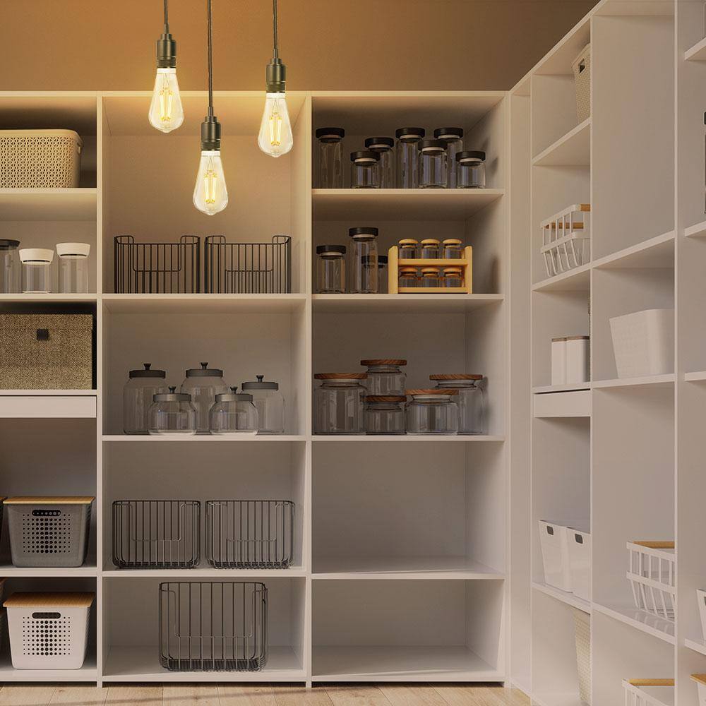 Feit Electric 60-Watt Equivalent ST19 Edison Vintage Filament Clear Motion Activated E26 LED Light Bulb Soft White 2700K (12-Pack)