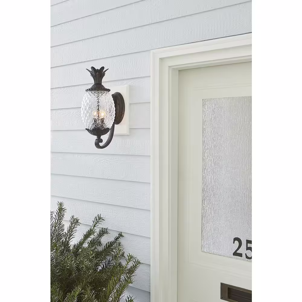 Acclaim Lighting Lanai Collection 2-Light Black Coral Outdoor Wall Lantern Sconce