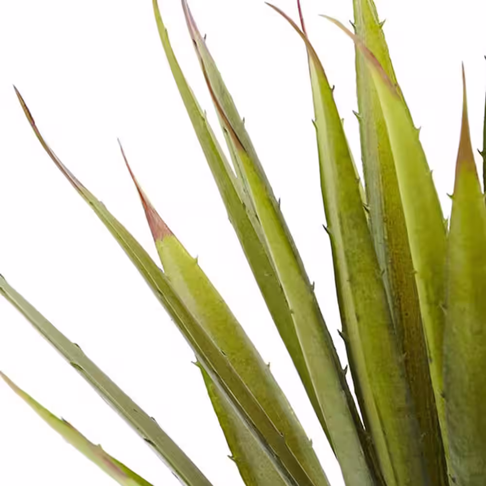 Nearly Natural Artificial Spiky Agave Succulent Plant (Set of 2)