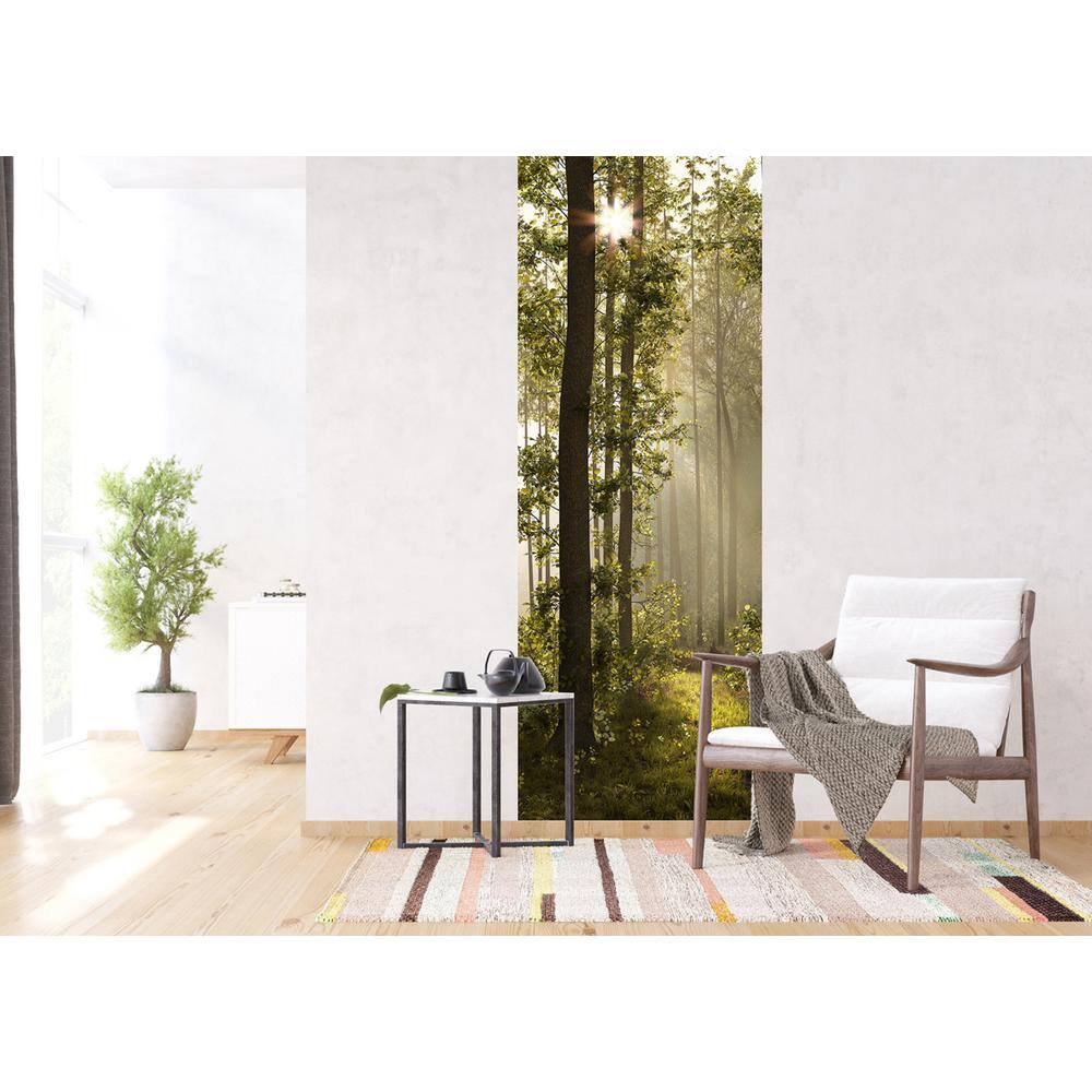 Dundee Deco Falkirk Airdrie Landscapes Forest Sunshine Modern Wall Mural