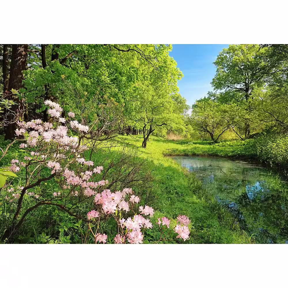 Ideal Decor 100 in. x 144 in. Park in the Spring Wall Mural