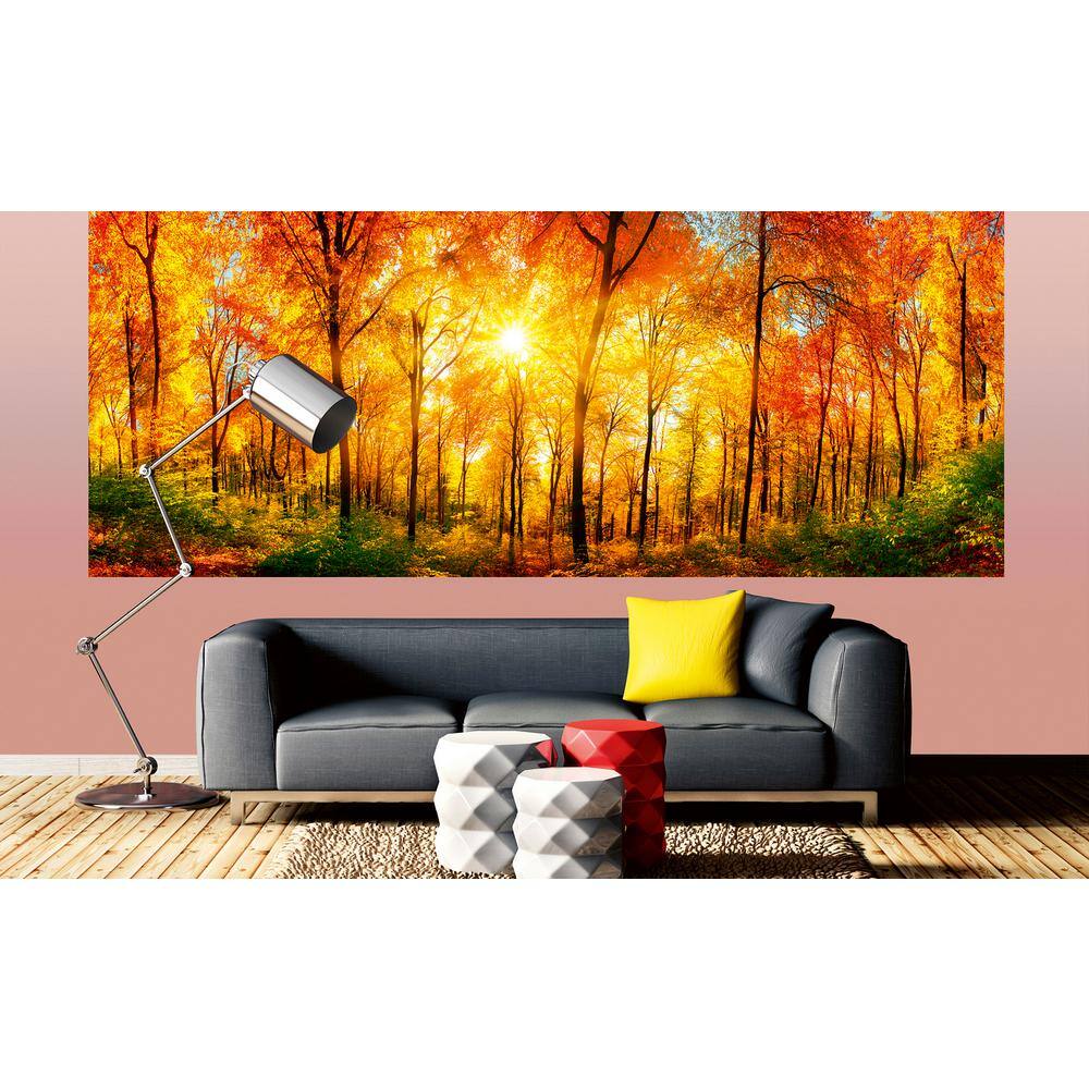 Dimex Scenic Sunny Forest Cityscapes Wall Mural