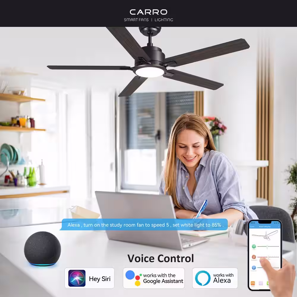 CARRO Essex 52 in. Integrated LED Indoor/Outdoor Black Smart Ceiling Fan with Light and Remote, Works w/Alexa/Google Home