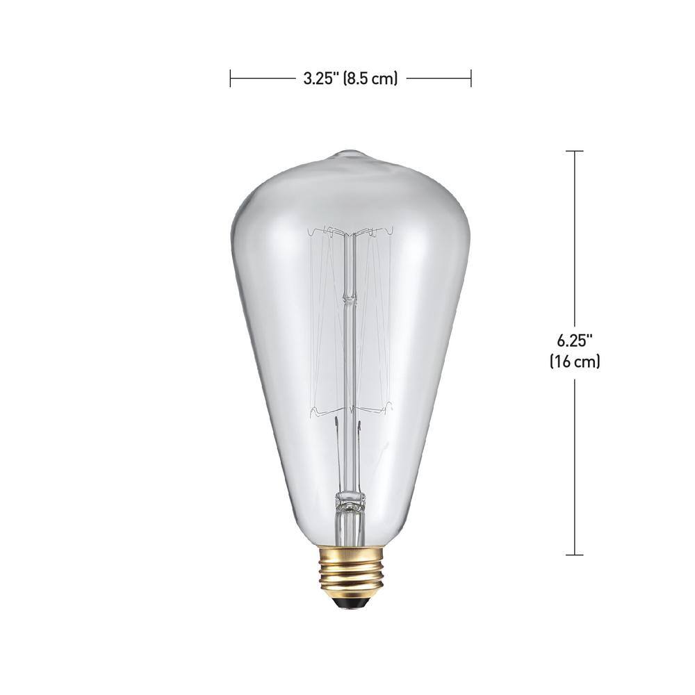 Globe Electric 60 Watt S-Shape Dimmable Cage Filament Vintage Edison Incandescent Light Bulb, Warm Candle Light