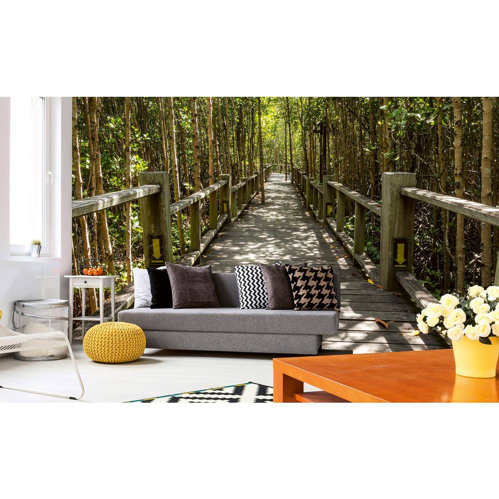 Dimex Photographic Mangrove Forest Landscapes Wall Mural