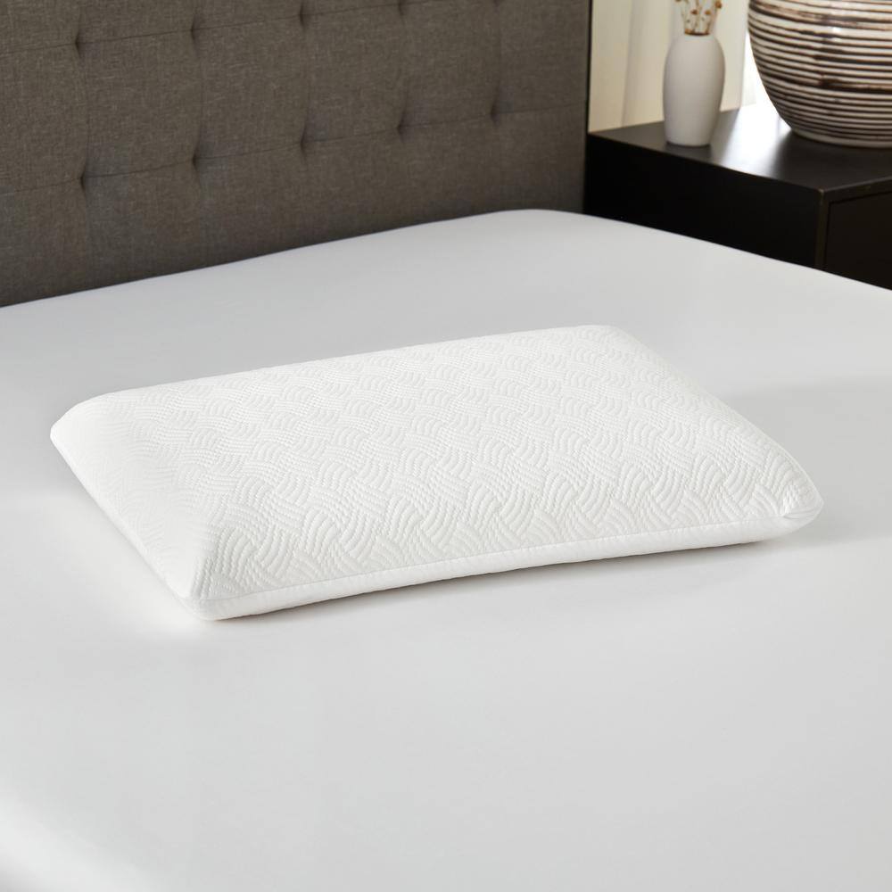 BODIPEDIC Classic Support Conventional Memory Foam Standard Bed Pillow