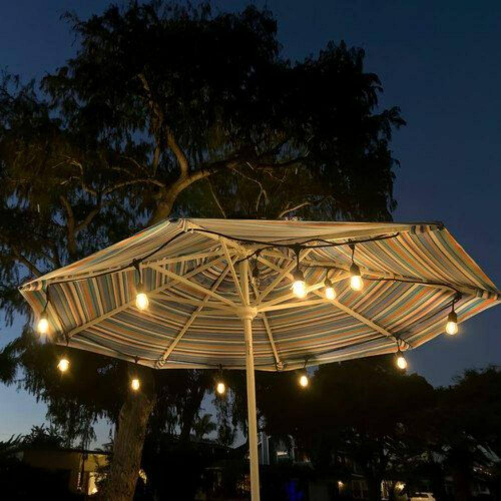 None 12 Light 24 ft. Outdoor Plug-in LED Edison Bulb Commercial Ready String Light