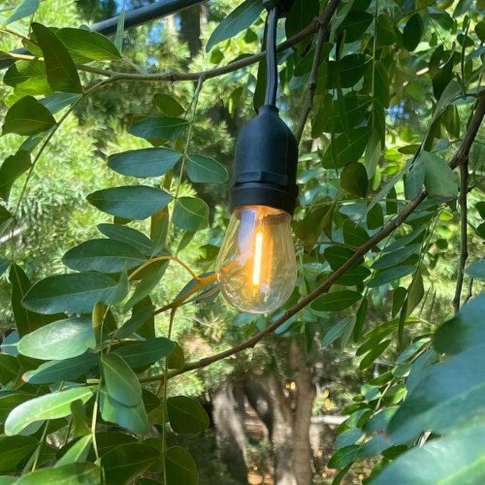 AQLIGHTING 24 Light 48 ft. Outdoor Plug-in LED Edison Bulb Commercial Ready String Light