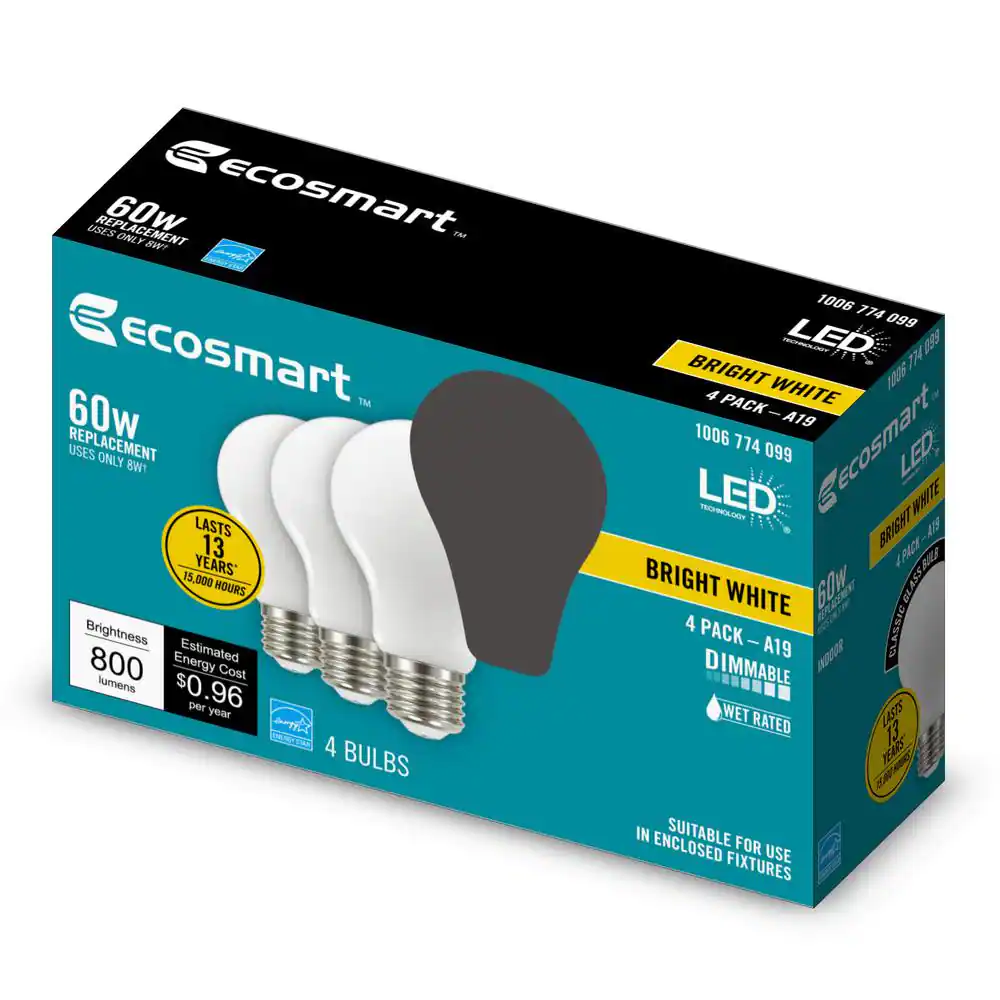 EcoSmart 60-Watt Equivalent A19 Dimmable Frosted Glass Filament LED Light Bulb Bright White (4-Pack)