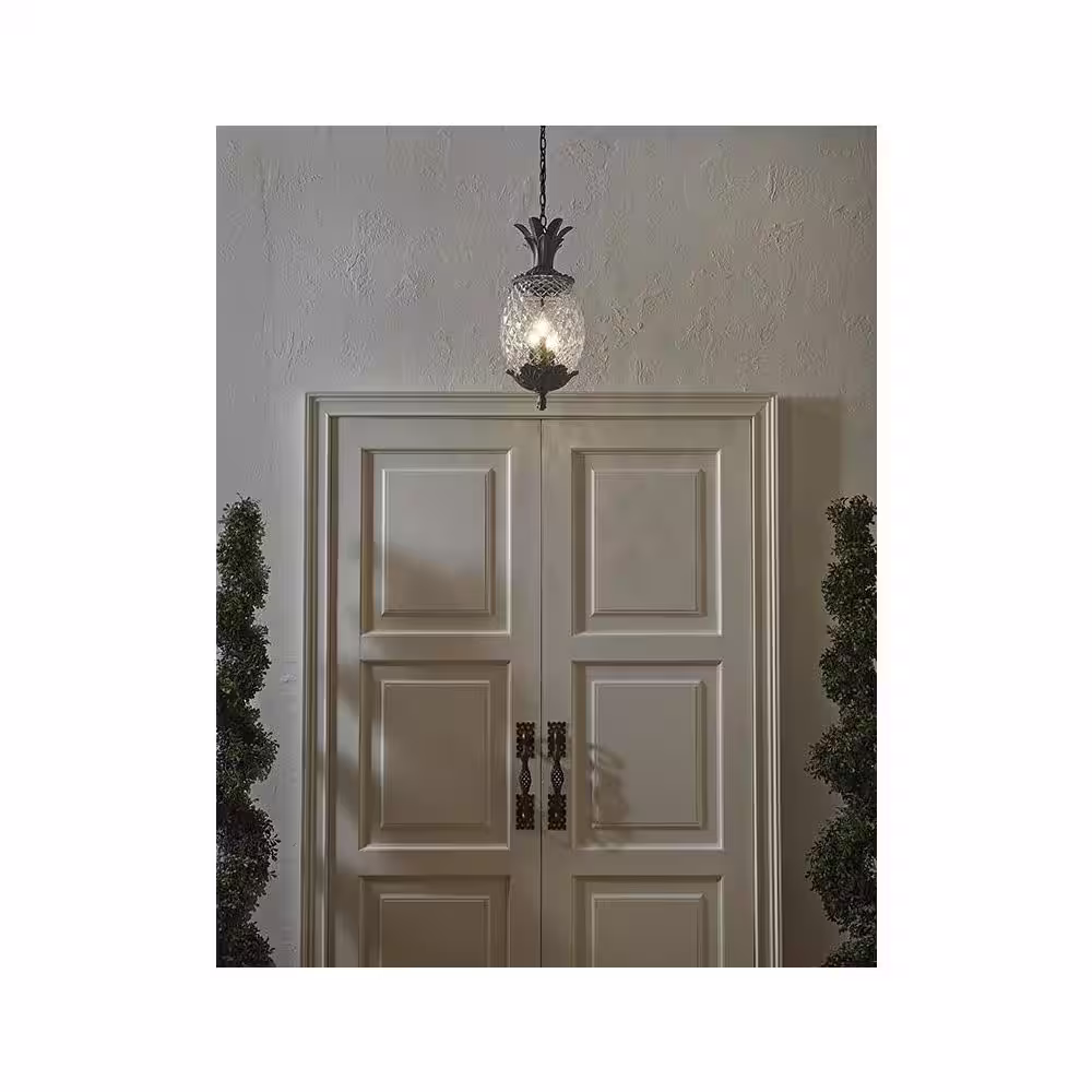Acclaim Lighting Lanai Collection 3-Light Black Coral Outdoor Hanging Light Fixture