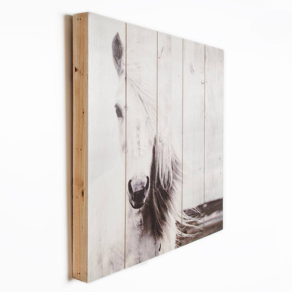 Graham & Brown 19.7 in. x 19.7 in. Horse by Graham and Brown Wooden Wall Art