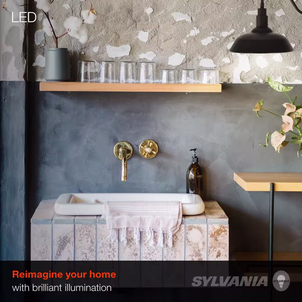 Sylvania Easton 11.5 in. Single Bulb Antique Black Outdoor Barn Light Sconce with 1 Edison 6.5-Watt LED Light Bulb Included