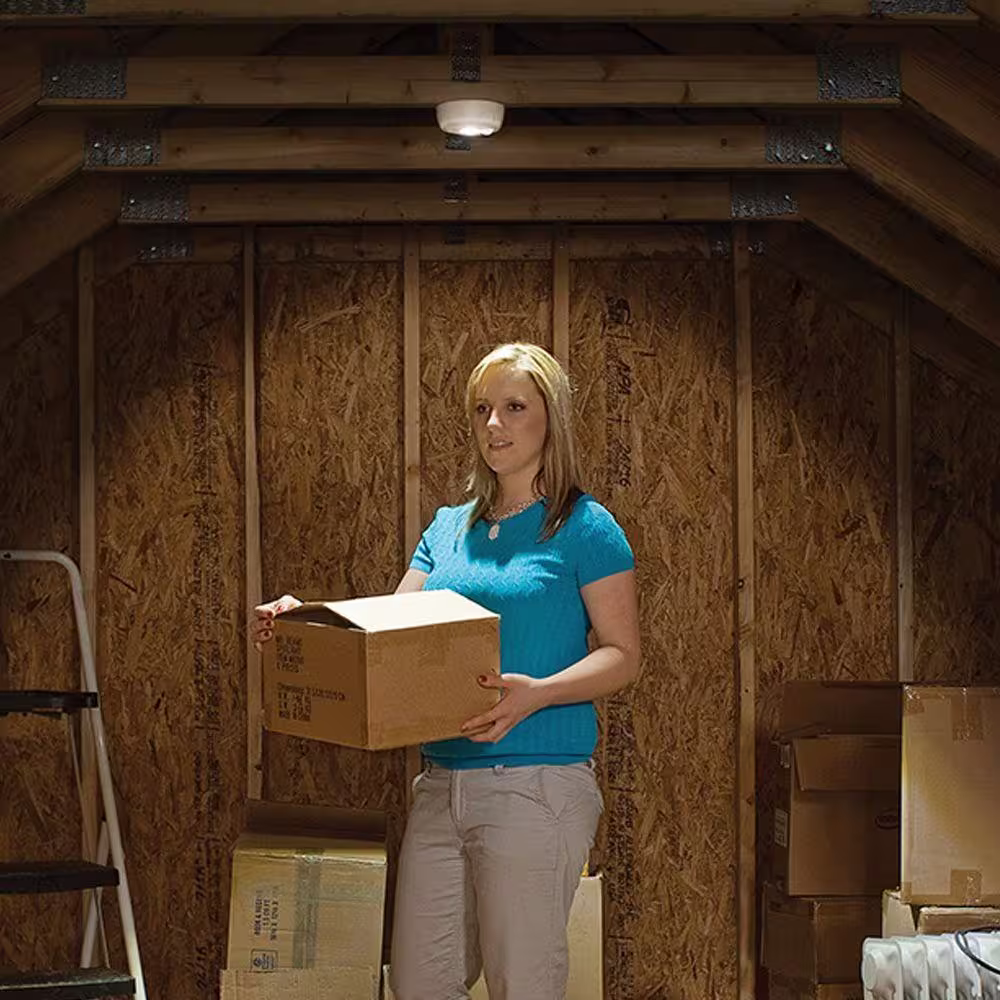 Mr Beams Indoor/ Outdoor 100 Lumen Battery Powered Motion Activated LED Ceiling Light, White (2-Pack)