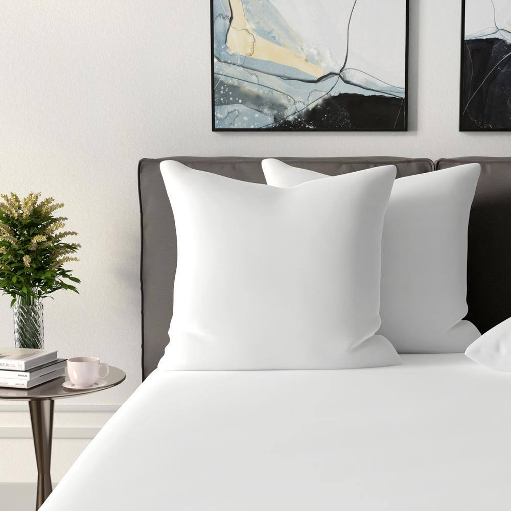 None Plush Fiber Filled Euro Square 27 in. x 27 in. Pillow Insert ((set of 2))