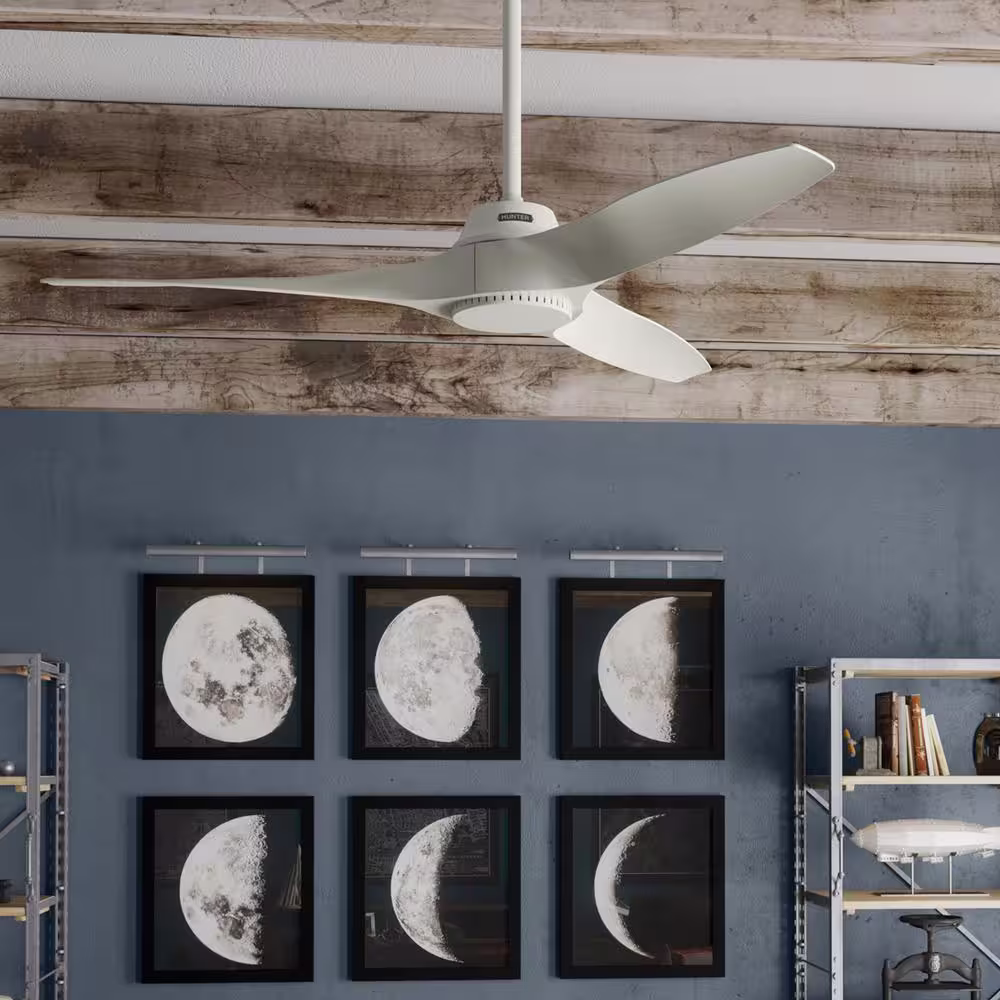 Hunter Mosley 52 in. Ceiling Fan White Indoor/Outdoor Fresh with Wall Control Included