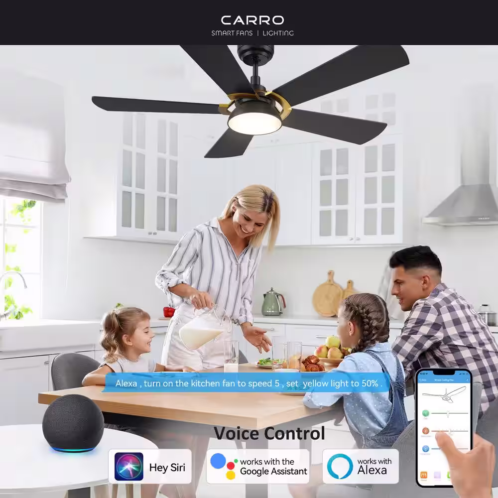 CARRO Bradford 52 in. Dimmable LED Indoor/Outdoor Black Smart Ceiling Fan with Light and Remote, Works with Alexa/Google Home