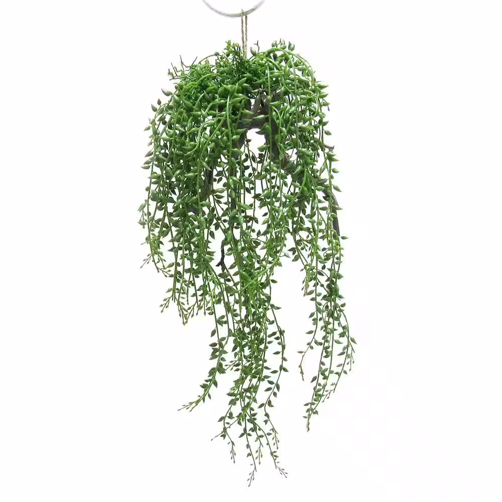 None 20 .5 in. Donkey Tail String of Pearls Artificial Succulent Hanging Air Plant