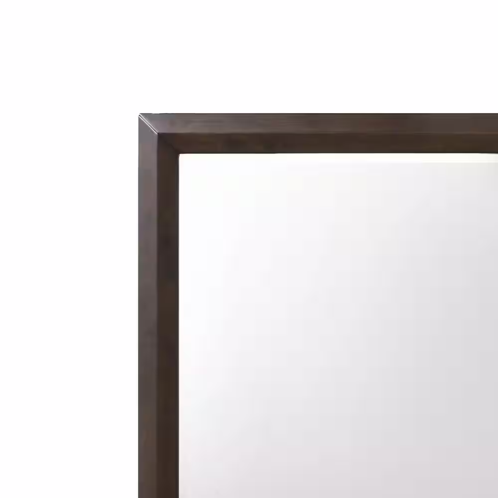 Acme Furniture Merveille 35 in. H x 1 in. W Espresso Mirror