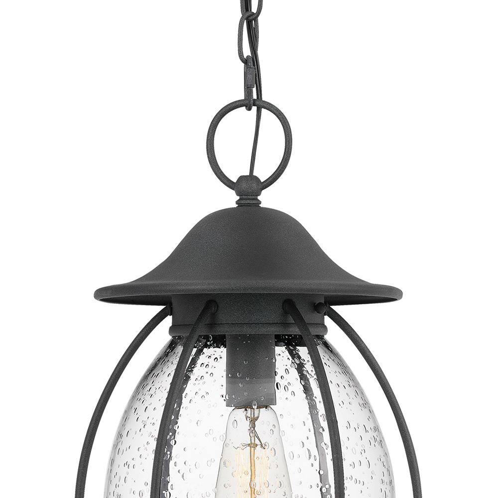 Quoizel Boston 1-Light Black Outdoor Pendant Light