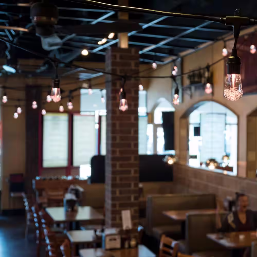 Enbrighten 24 Bulbs 48 ft. Outdoor/Indoor Black Vintage LED String Light, Acrylic Edison Bulbs (2-Pack)