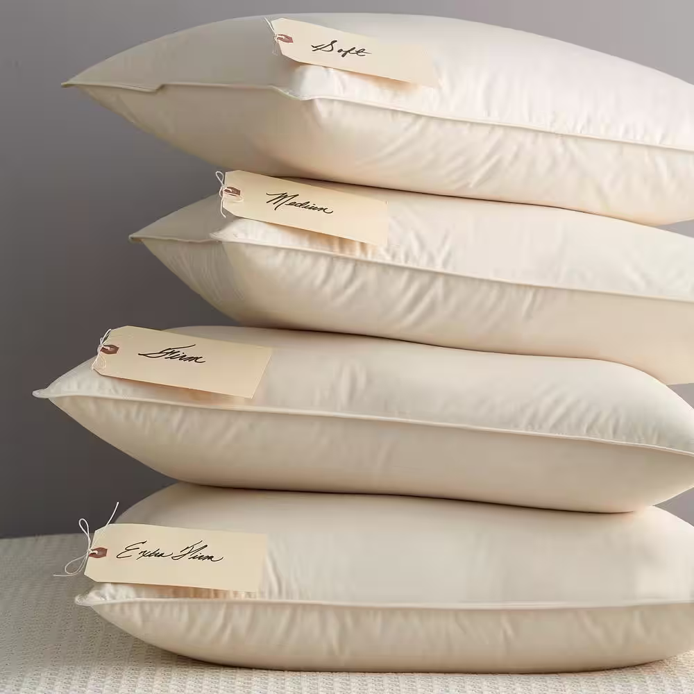 The Company Store Organic Cotton European Down Pillow