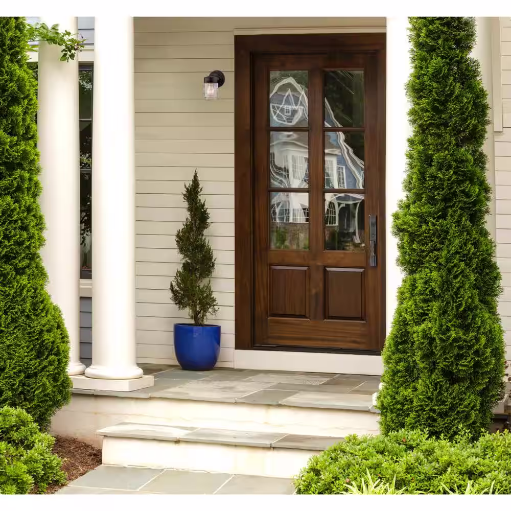 Westinghouse Oil Rubbed Bronze 1-Light Outdoor Jelly Jar Wall Lantern Sconce