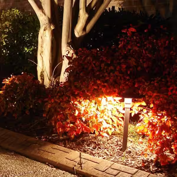 P.M. LIGHTING Professional Series Low-Voltage Brushed Satin Copper Outdoor LED Landscape Path Light and Spot Light Kit (8-Pack)