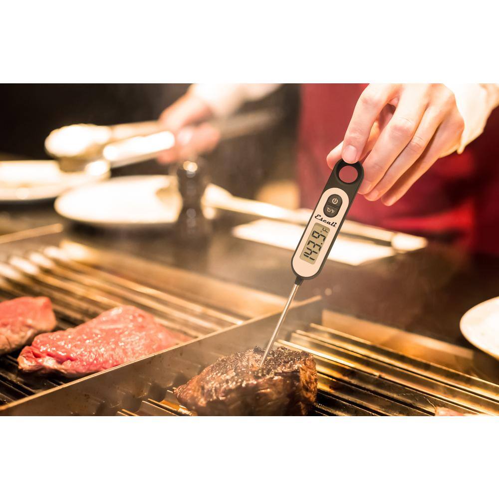 None Digital Long Stem Thermometer