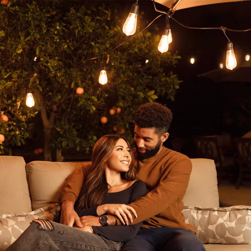 Hampton Bay 12-Light 24 ft. Outdoor/Indoor Black Plug-in ST64 Novelty Bulb LED String Light