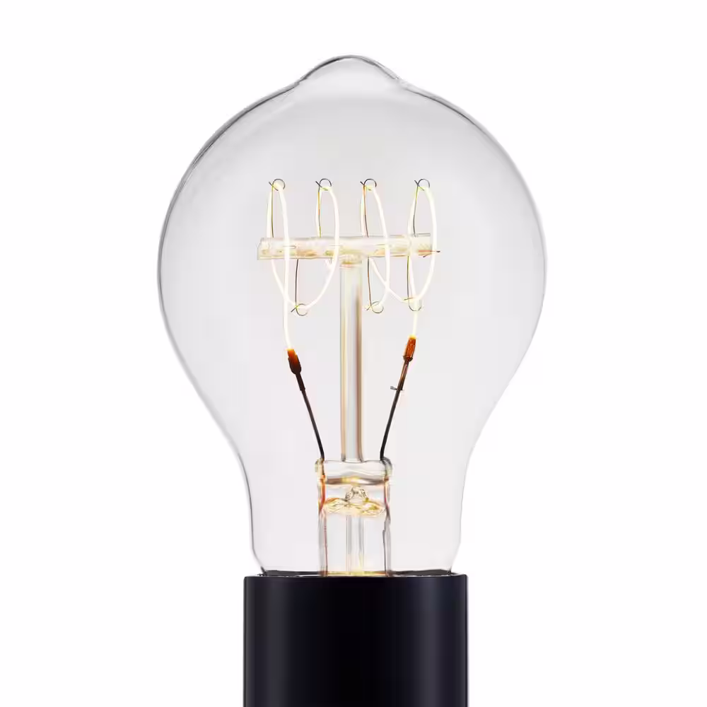 EcoSmart 40-Watt Equivalent AT19 Dimmable Horizontal Filament LED Vintage Edison Light Bulb Warm White (1-Pack)