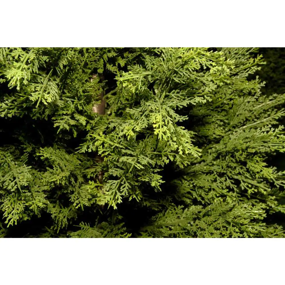 National Tree Company 60 in. Artificial Arborvitae Tree in Dark Green Round Growers Pot