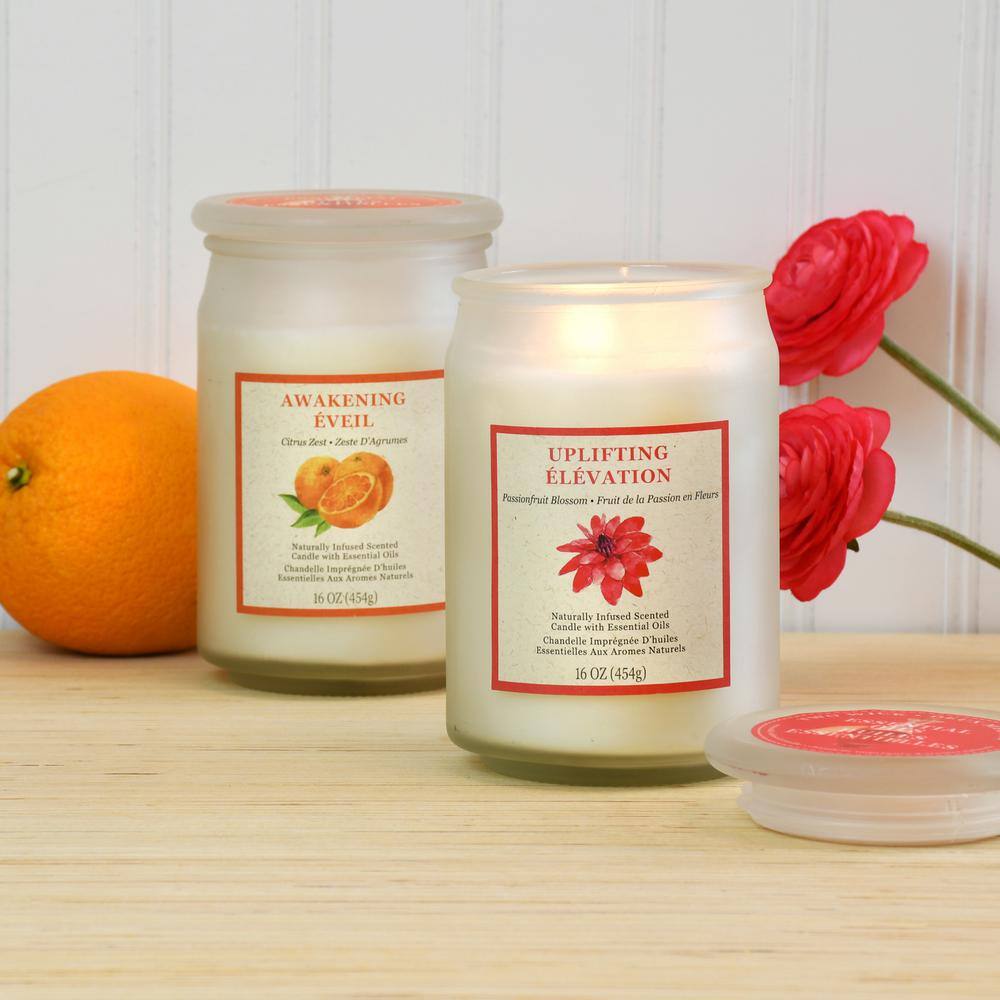 LUMABASE Passionfruit Blossom and Citrus Zest Scented Wax Candles - Inspiration Collection (set of 2)