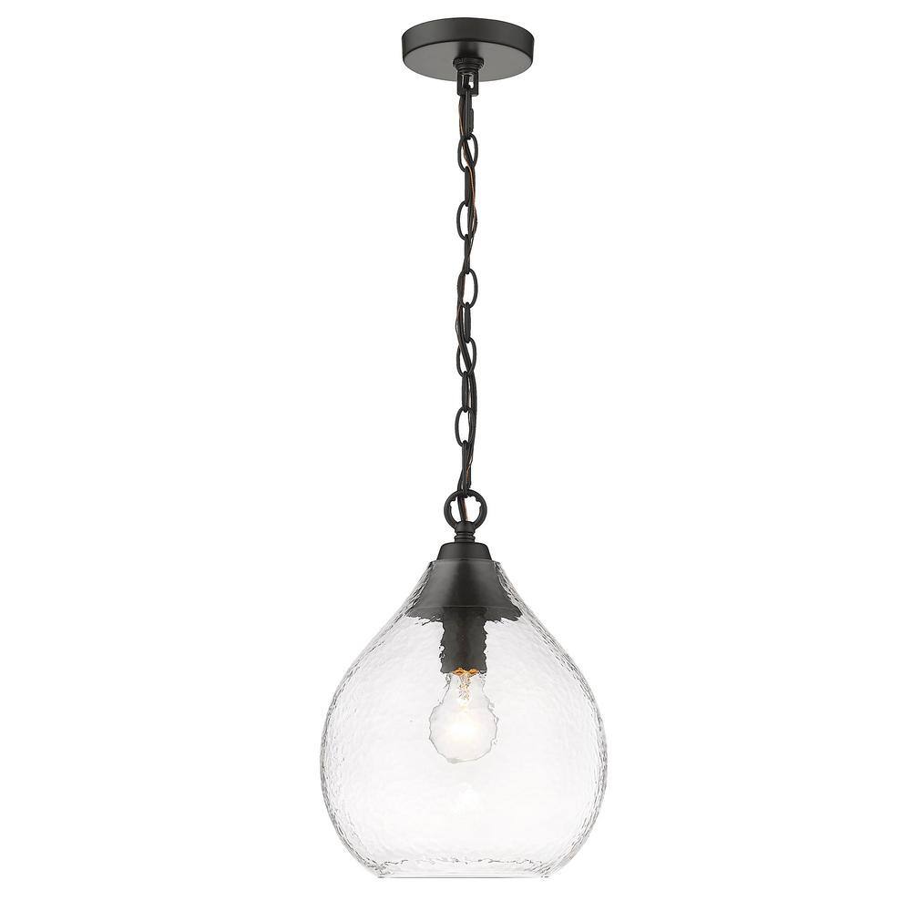 Golden Lighting Ariella 1-Light Matte Black Mini Pendant with Glass Shade