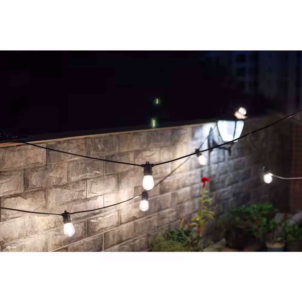 NATURE POWER 12-Light Outdoor 30 ft. Solar Powered Edison Bulb LED String Lights (2-Pack)