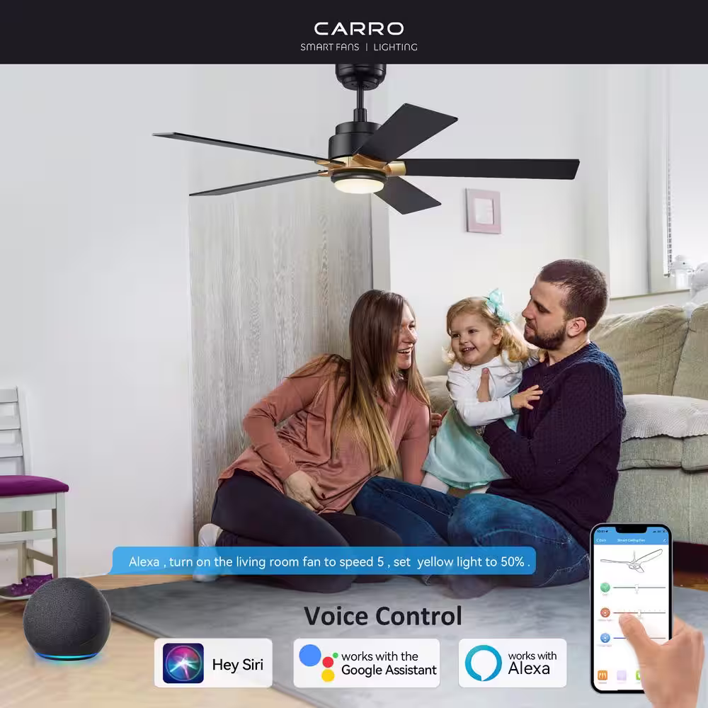 CARRO Aspen 52 in. Dimmable LED Indoor/Outdoor Black Smart Ceiling Fan with Light and Remote, Works with Alexa/Google Home