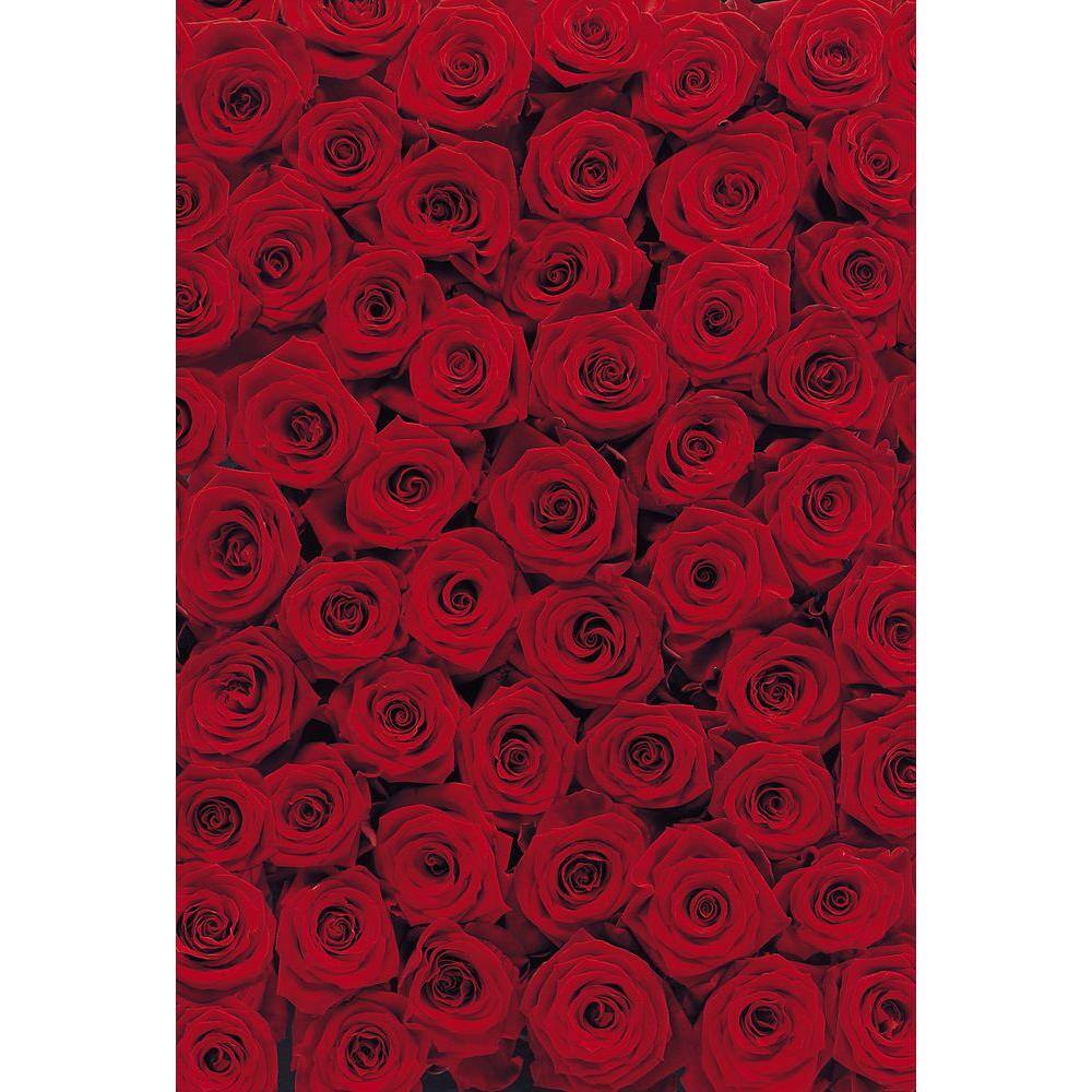 Komar 106 in. x 76 in. Roses Wall Mural