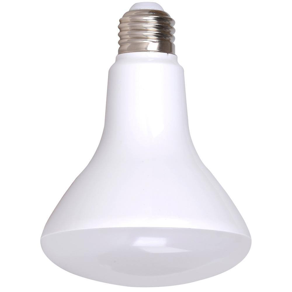 Simply Conserve 100-Watt Equivalent R40 Dimmable Warm White 25000-Hour LED-Light Bulb (12-Pack)
