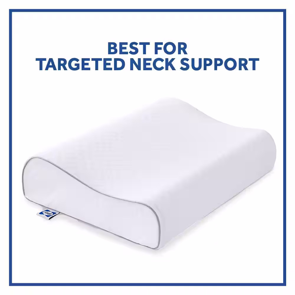 Sealy Essentials 20 in. x 15 in. Contour Curve Memory Foam Standard Pillow