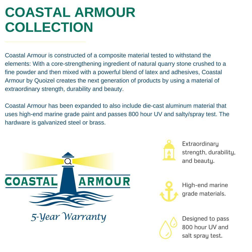 None Damien 1-Light Earth Black Outdoor Pendant Light