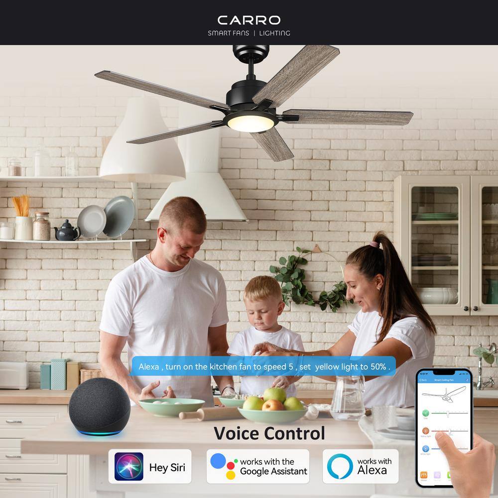 CARRO Essex 52 in. Dimmable LED Indoor/Outdoor Black Smart Ceiling Fan with Light and Remote, Works w/Alexa/Google Home