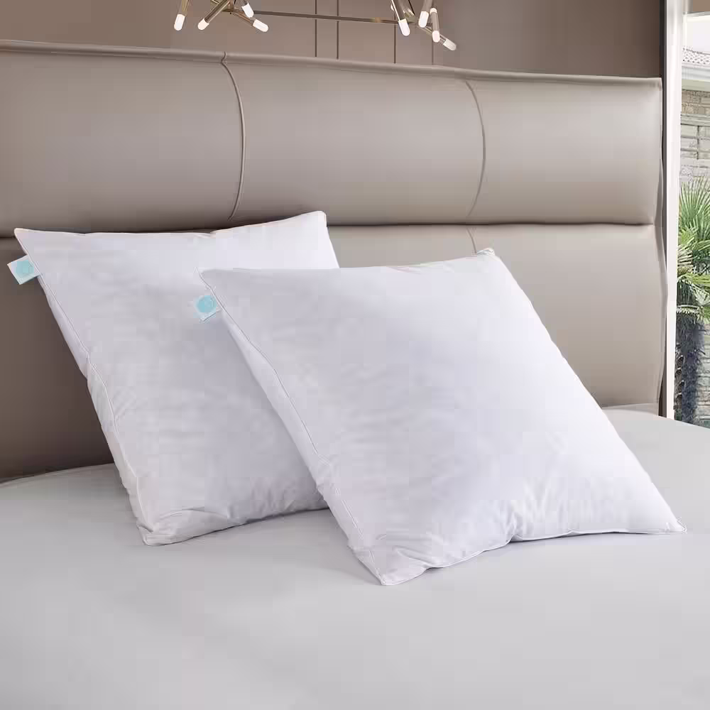 Martha Stewart Living 100% Cotton Euro-Square Firm Feather Pillow (2-Pack)