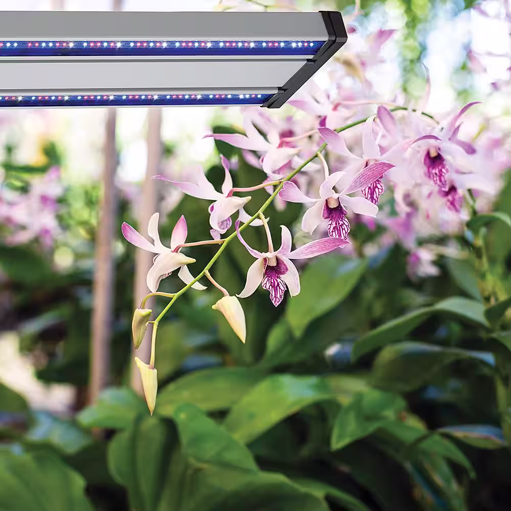 ETi Grow Elite Brushed Nickel Integrated LED 72-Watt Indoor Grow Light Linkable Adjustable Height