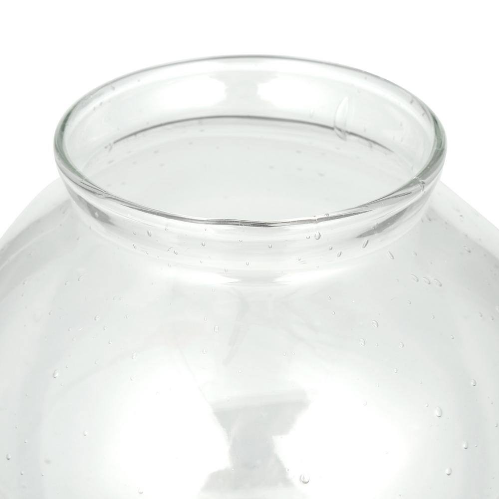 Westinghouse 6 in. Handblown Clear Seeded Globe with 3-1/4 in. Fitter