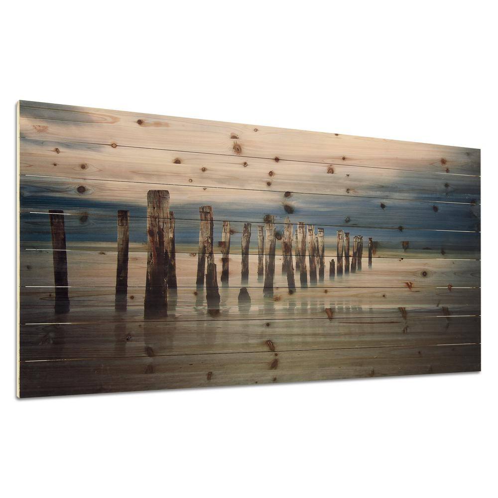 Empire Art Direct 30 in. x 60 in. 