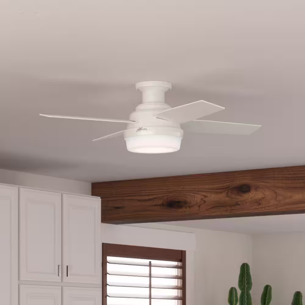 Hunter Dempsey 44 in. Low Profile LED Indoor Fresh White Ceiling Fan with Universal Remote